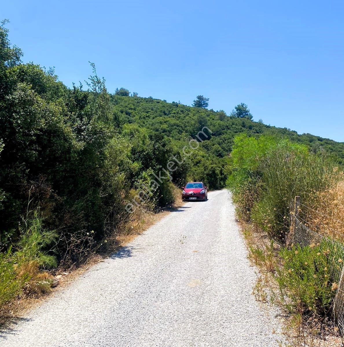 Urla Torasan’da Asfalt Cepheli, Deniz Manzaralı, Eşsiz Arazi - Görsel 23