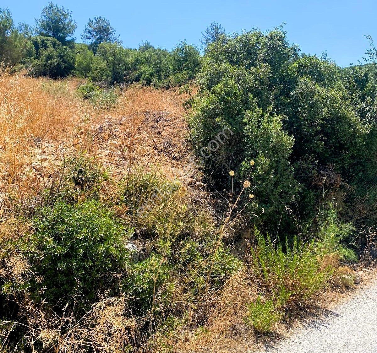 Urla Torasan’da Asfalt Cepheli, Deniz Manzaralı, Eşsiz Arazi - Görsel 22