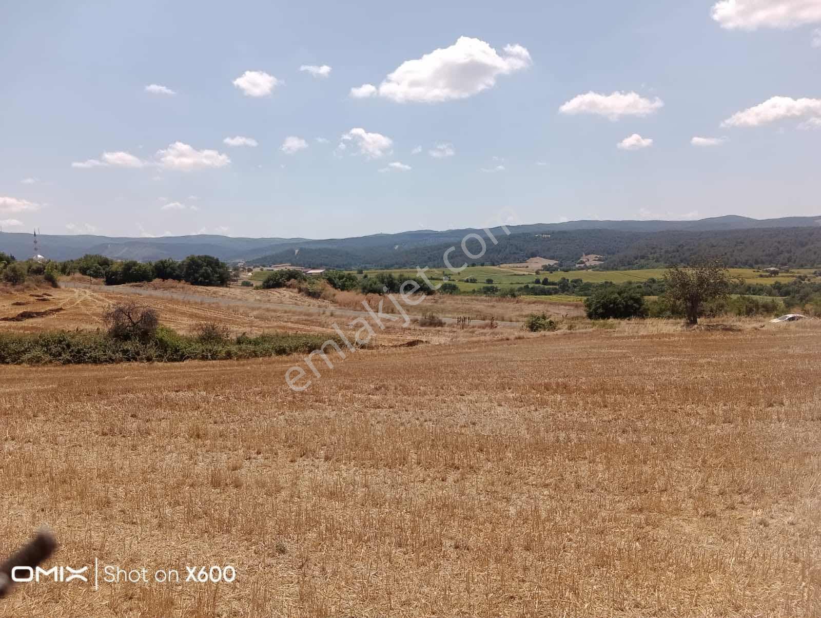 Tekirdağ Malkara Teteköyde Satılık 1.215 M² Arazi