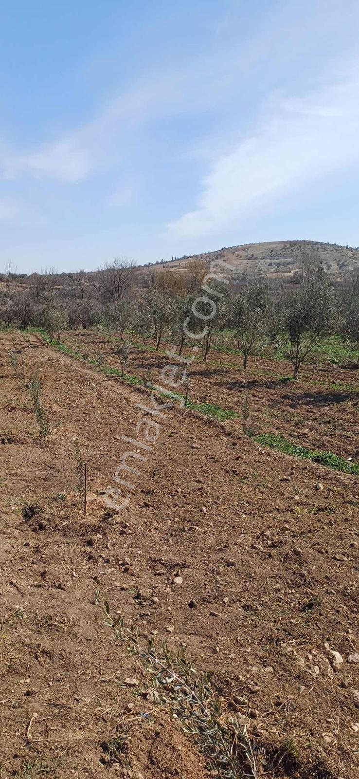 Gürsü 1152 Metre Su Basma Yapılmış - Görsel 10