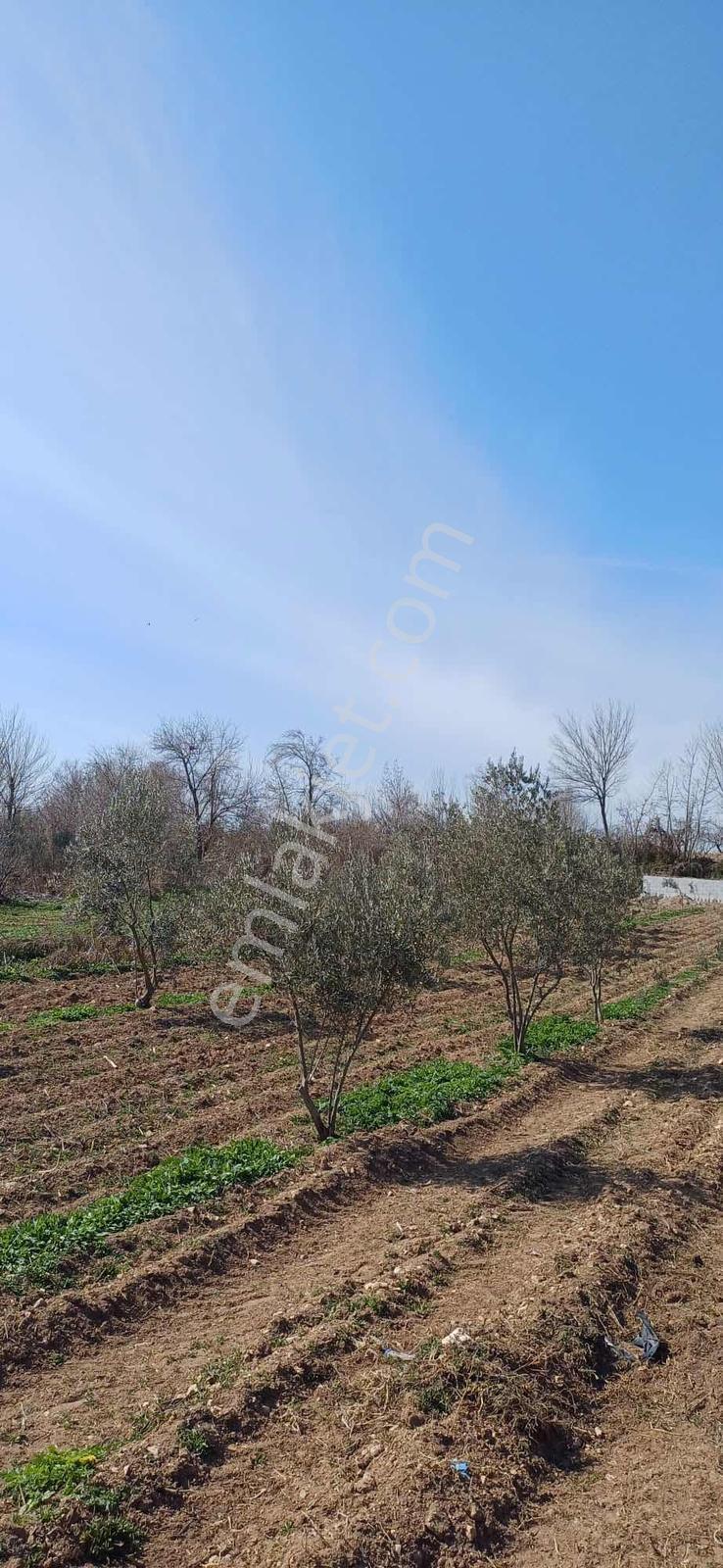 Gürsü 1152 Metre Su Basma Yapılmış - Görsel 27