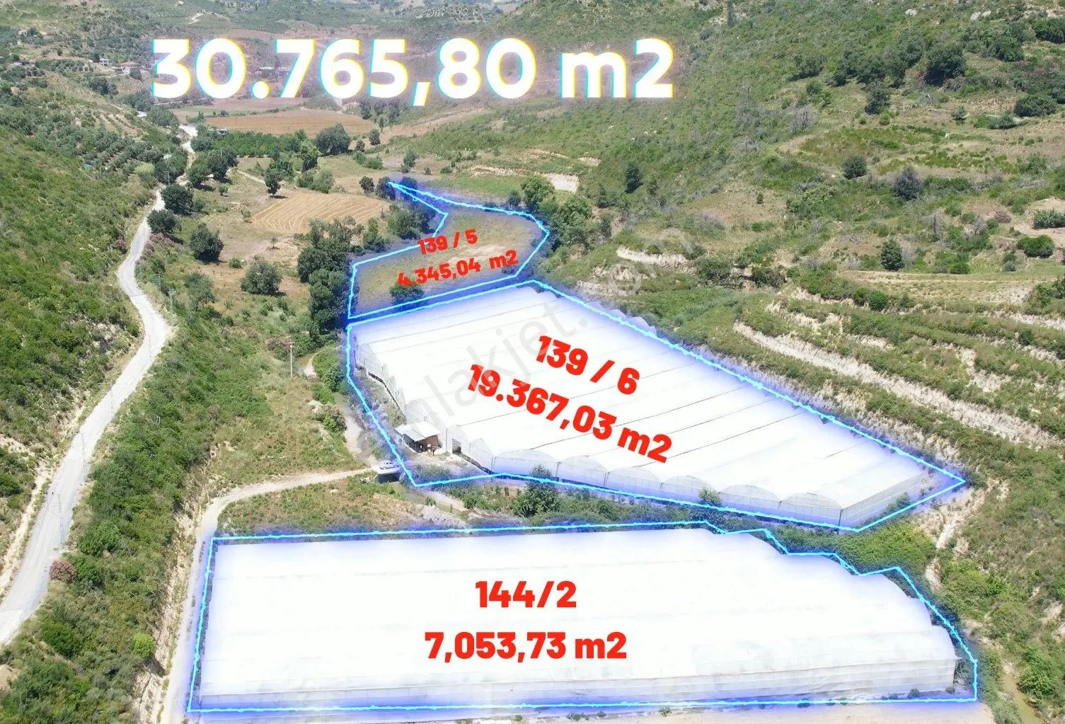 Manavgat Cevizler Satılık Muz Ve Avakado Serası