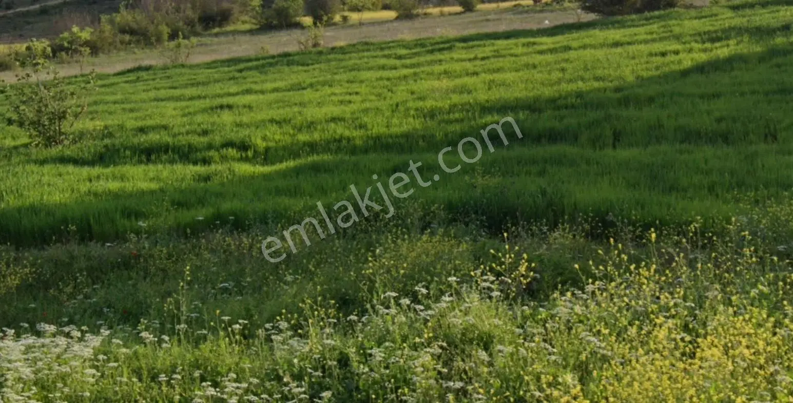 Sakarya Pamukova Merkezde Yatırımlık - Satılık Arsa - Görsel 2