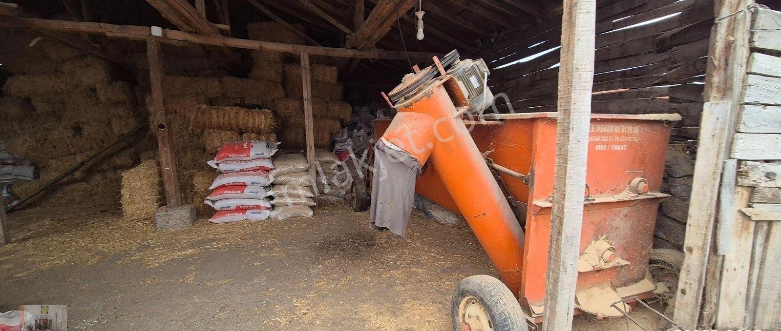 Dökmetepede Satılık Çobanevi+180 Başlık Ahır Samanlık Ve Yoncalık - Görsel 21