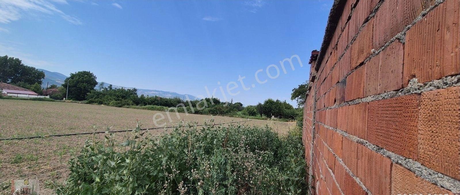 Dökmetepede Satılık Çobanevi+180 Başlık Ahır Samanlık Ve Yoncalık - Görsel 24