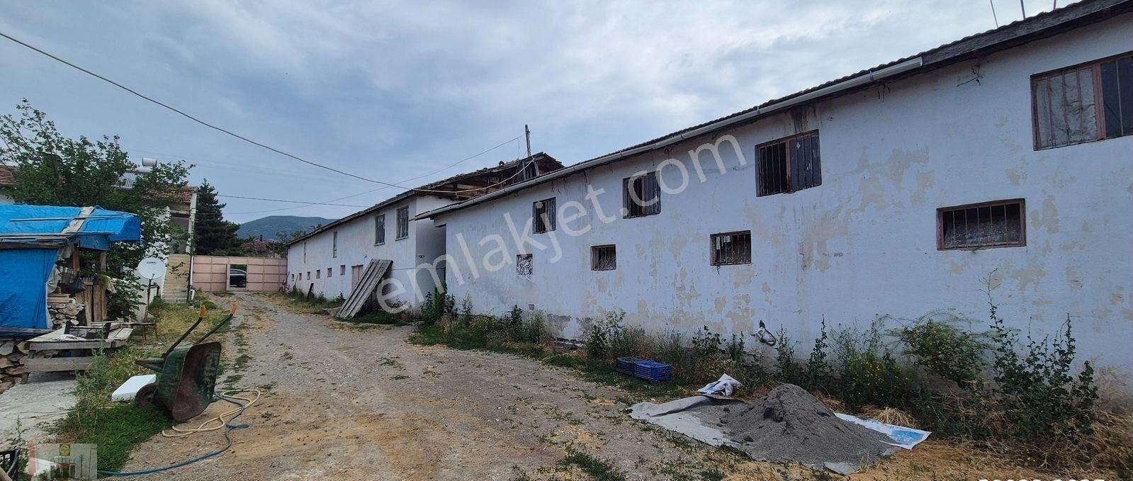 Dökmetepede Satılık Çobanevi+180 Başlık Ahır Samanlık Ve Yoncalık - Görsel 5