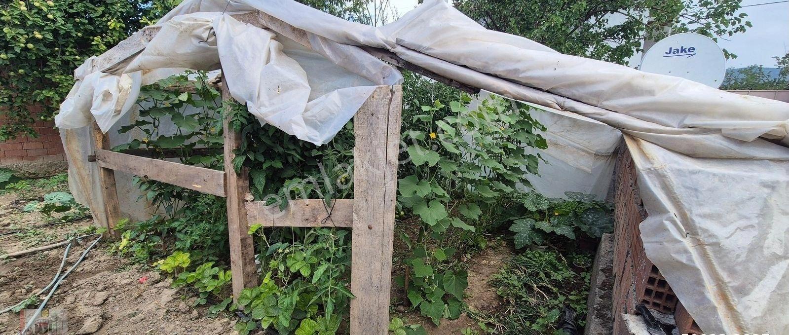 Dökmetepede Satılık Çobanevi+180 Başlık Ahır Samanlık Ve Yoncalık - Görsel 17