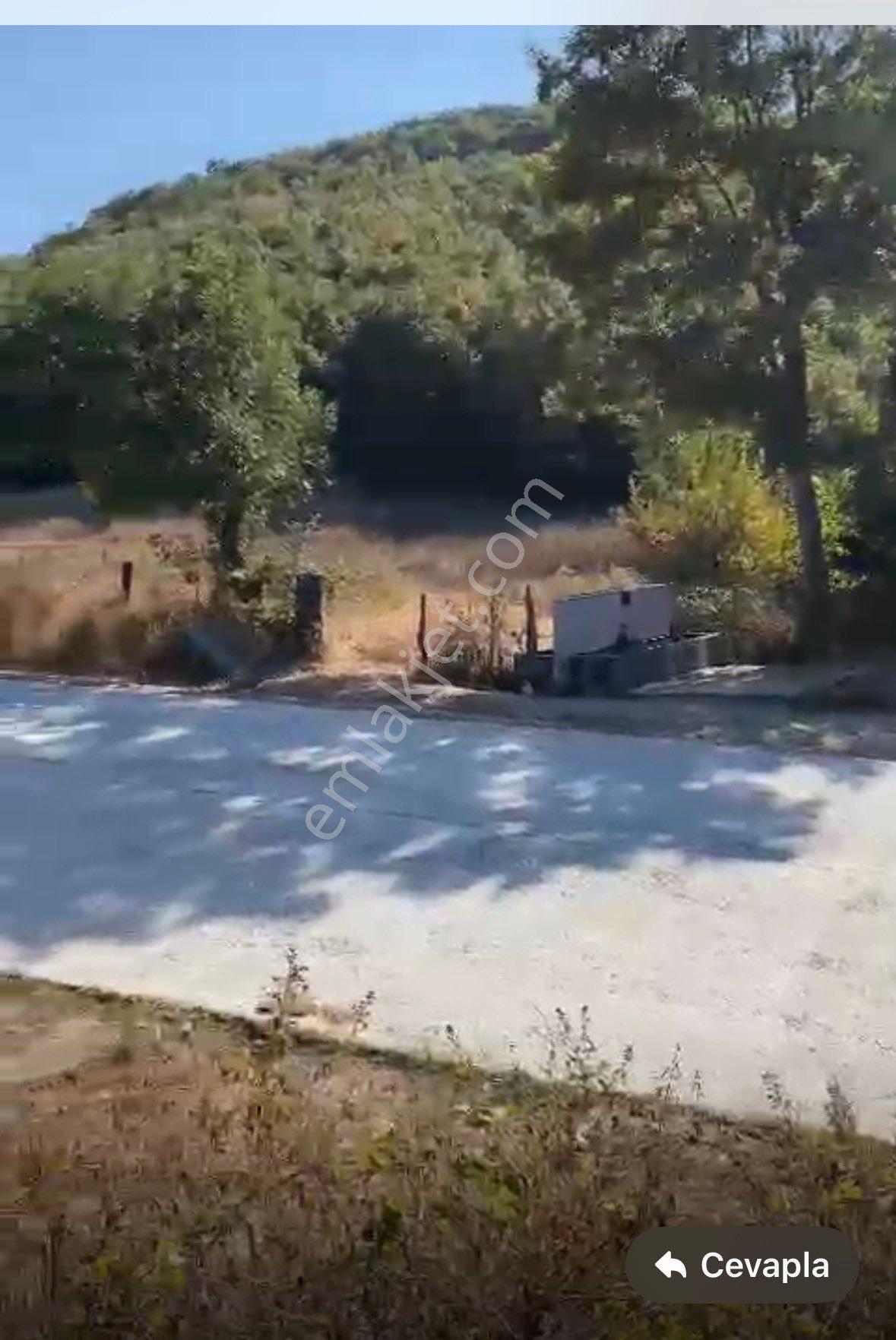 Yenice Y. İnova Satılık Tarla