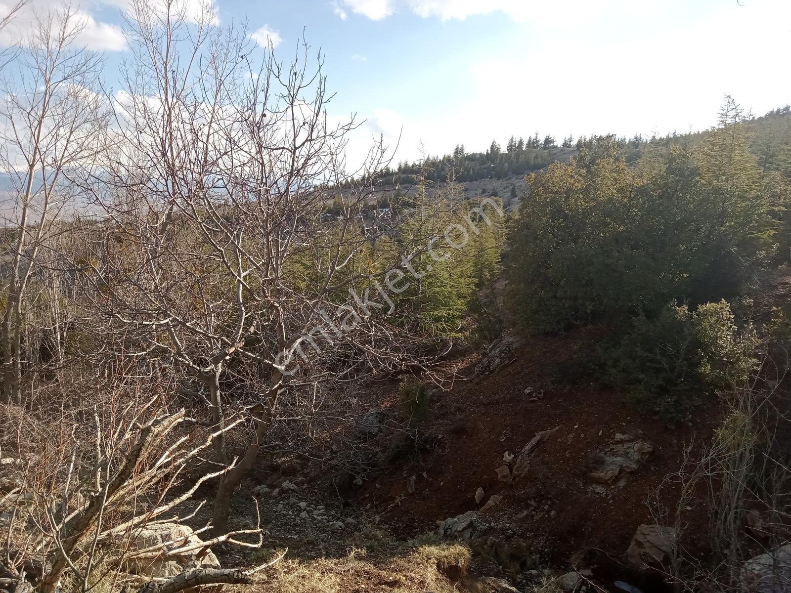 Antalya Elmalı Bayındırda Yatırımlık Temiz Müstakil Tek Tapu - Görsel 3
