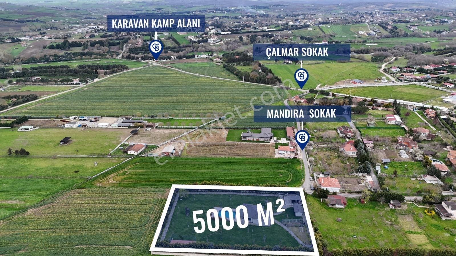 Satılık Çatalca'da 5000 M2 Arsa İçerisinde Havuzlu Çiftlik Evi - Görsel 10