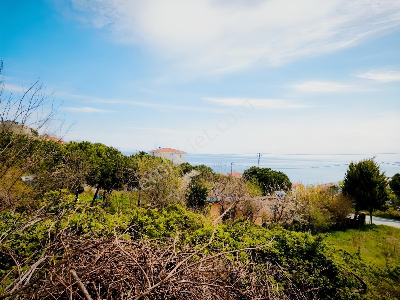 Lüks Konsept Villa Projesine Uygun | Karaburun'da Fırsat Parsel - Görsel 15