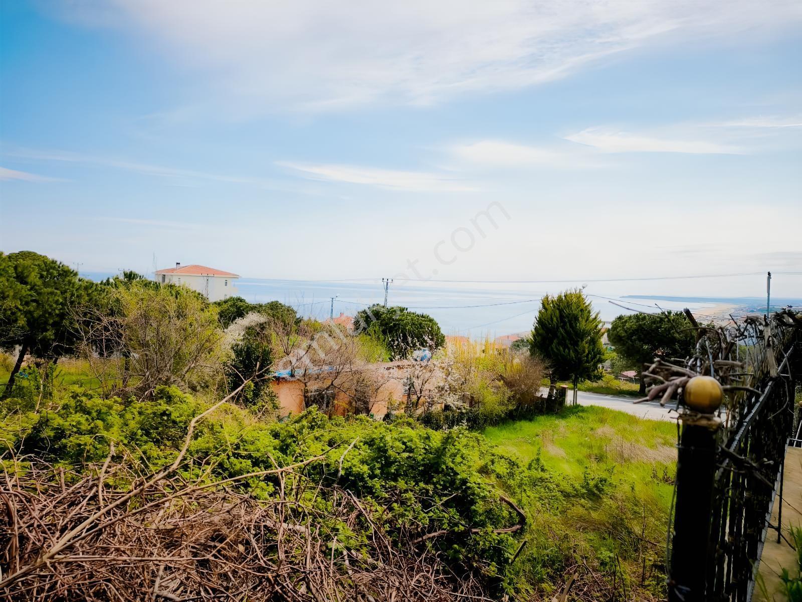 Lüks Konsept Villa Projesine Uygun | Karaburun'da Fırsat Parsel - Görsel 13
