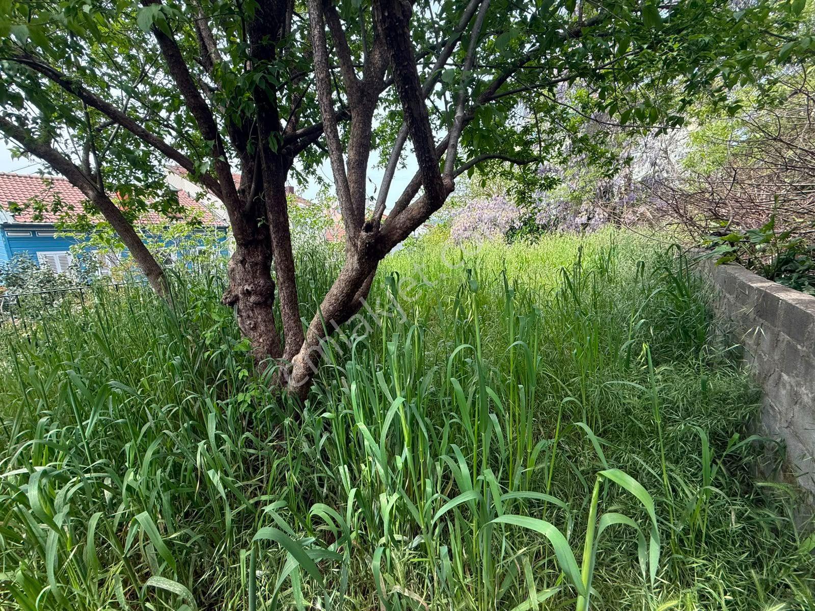 Boğazın İncisi Beylerbeyi ’nde 284 M2 Satılık Arsa - Görsel 13
