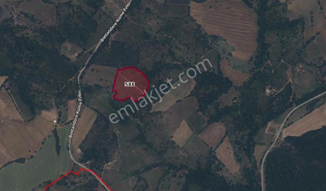 Satılık Çan Bostandere Köyünde 16.375 M² Tek Tapu Tarla - Görsel 8