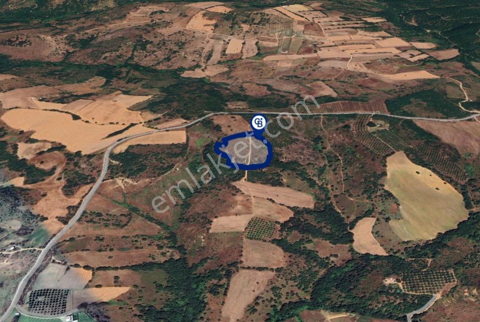 Satılık Çan Bostandere Köyünde 16.375 M² Tek Tapu Tarla