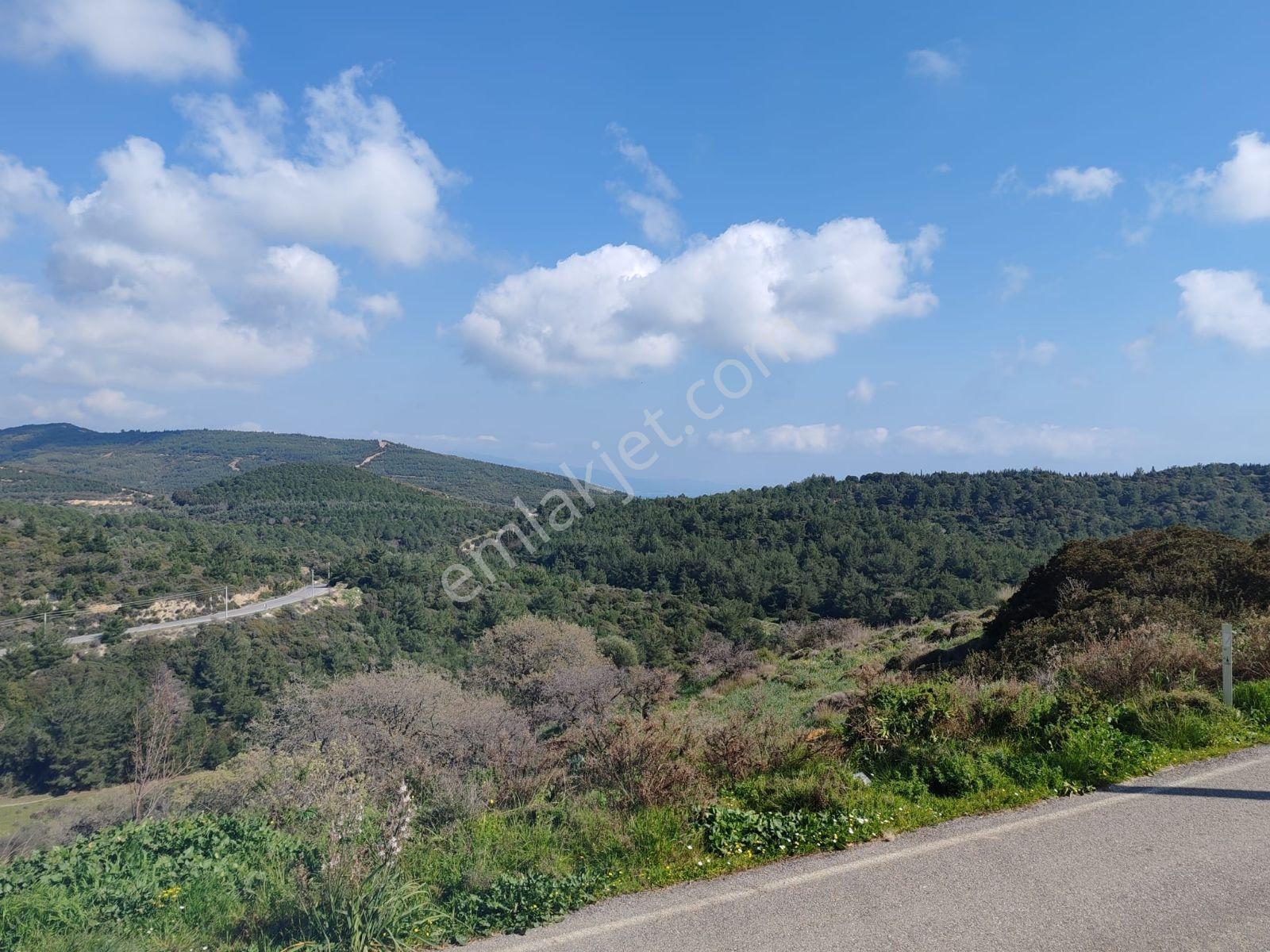 Doğanbey Geniş 4+2 Deniz Ve Doğa Manzaralı Satılık Villa Rw Akar - Görsel 3