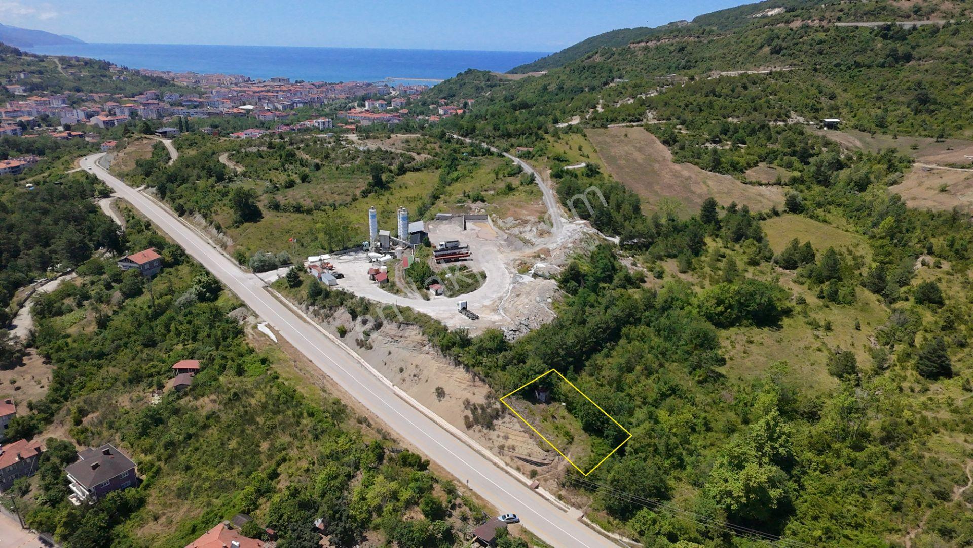 ​kastamonu Cide Kemelli'de Yatırımlık Ve Konteyner Uyumlu Bahçe! - Görsel 13