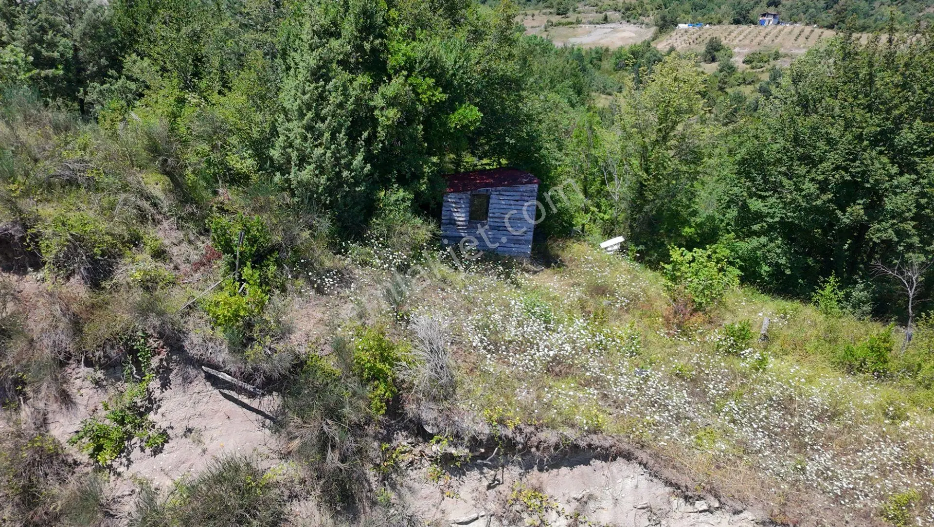 ​kastamonu Cide Kemelli'de Yatırımlık Ve Konteyner Uyumlu Bahçe! - Görsel 4