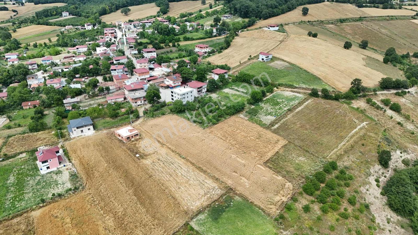 Samsun Atakum Çatmoluk Mahallesi'nde 4.530 M² Satılık Tarla - Görsel 2