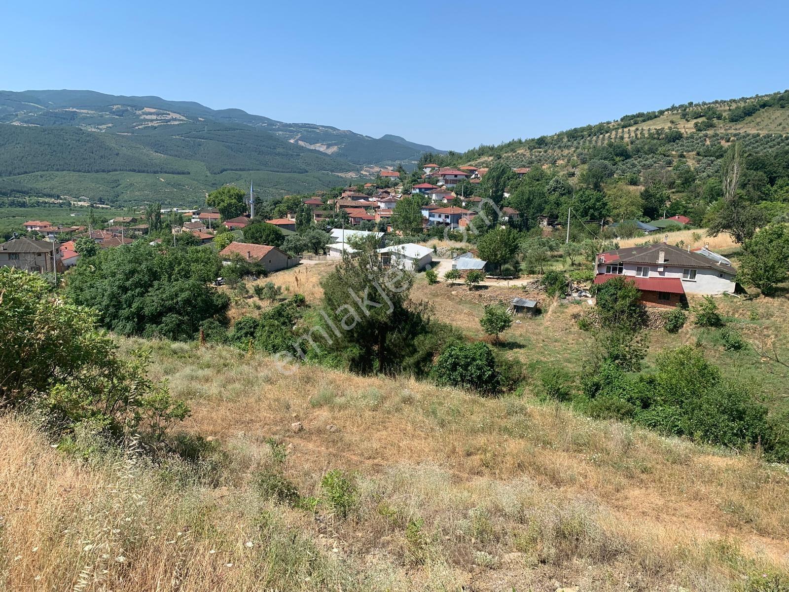 Remax Design Geyve Burhaniyede 2573 M2 İmarlı Arsa - Görsel 14