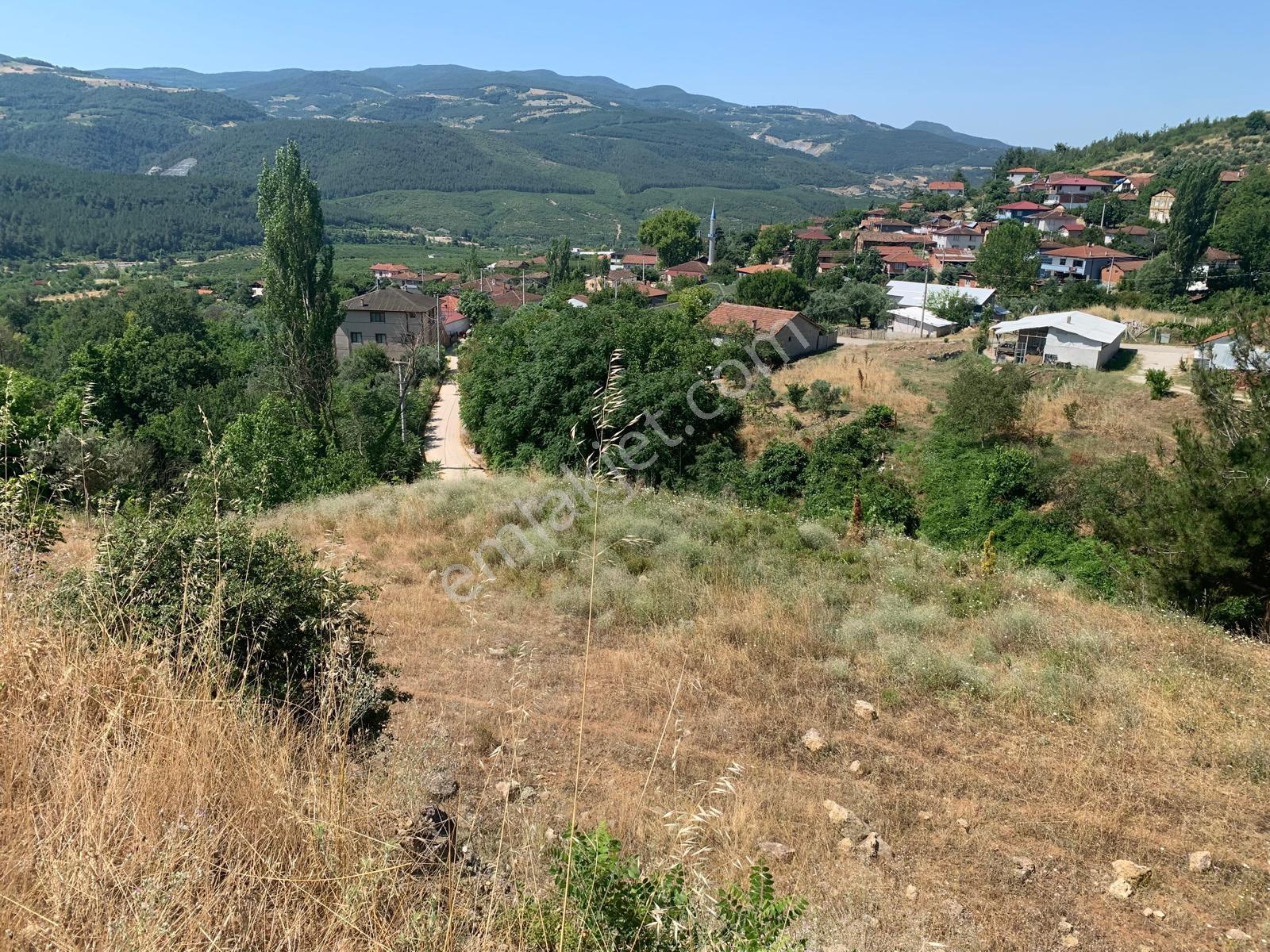 Remax Design Geyve Burhaniyede 2573 M2 İmarlı Arsa - Görsel 18