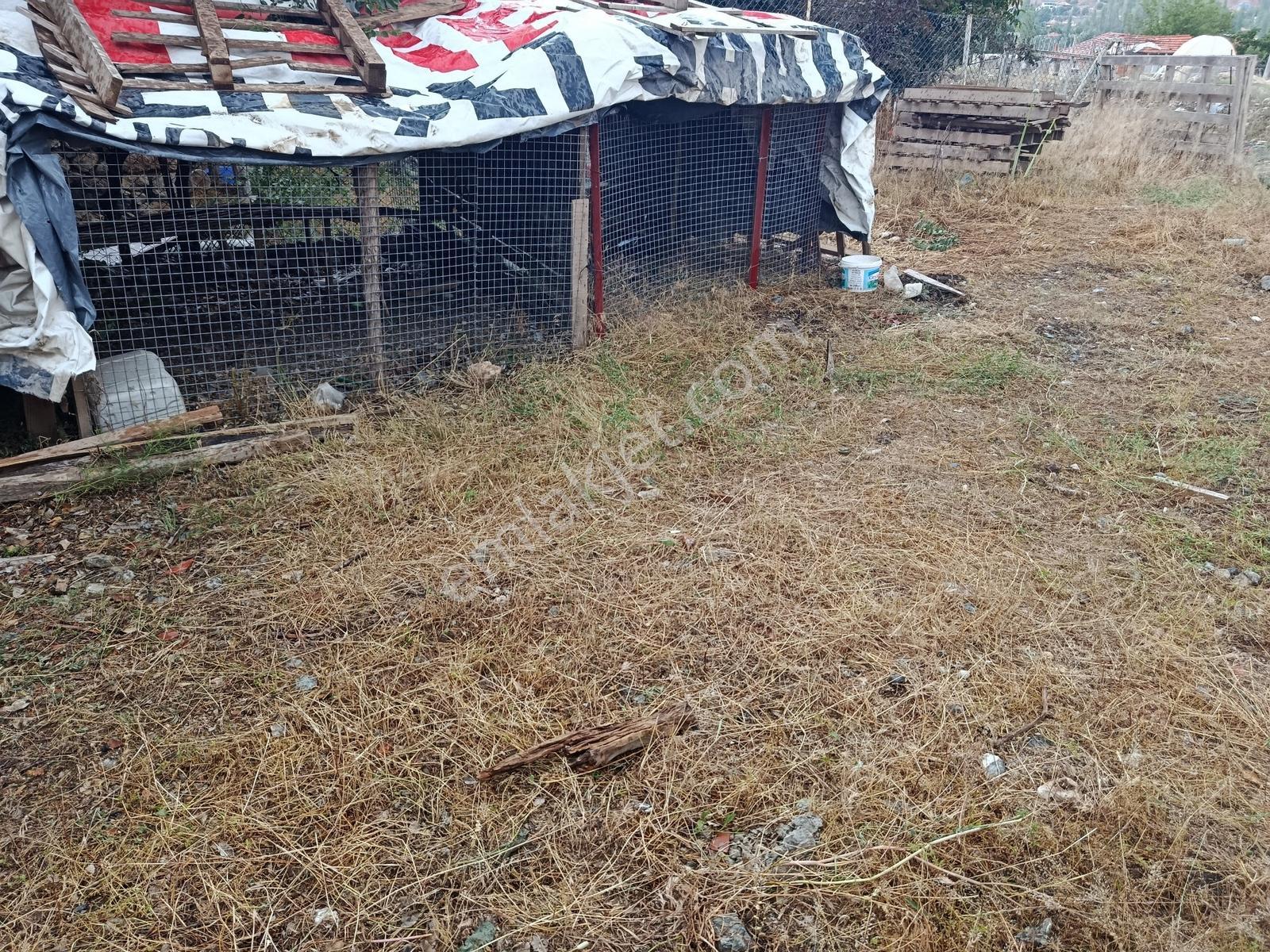 İlkon'dan Seydikemer Doğanlar Köyü Yola Cephe 316m2 Arsa Ve Ev - Görsel 4