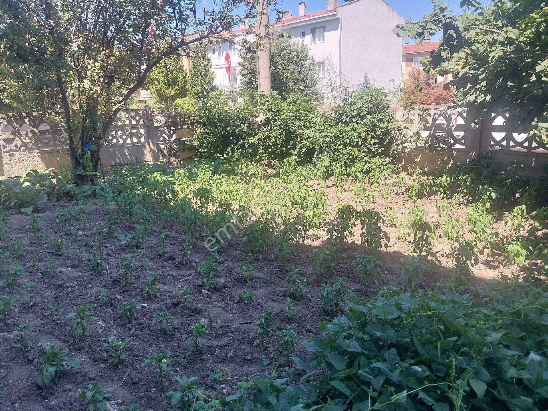 İnegölde Tekelevşerinde Kiralık Alt Kat Daire - Görsel 3