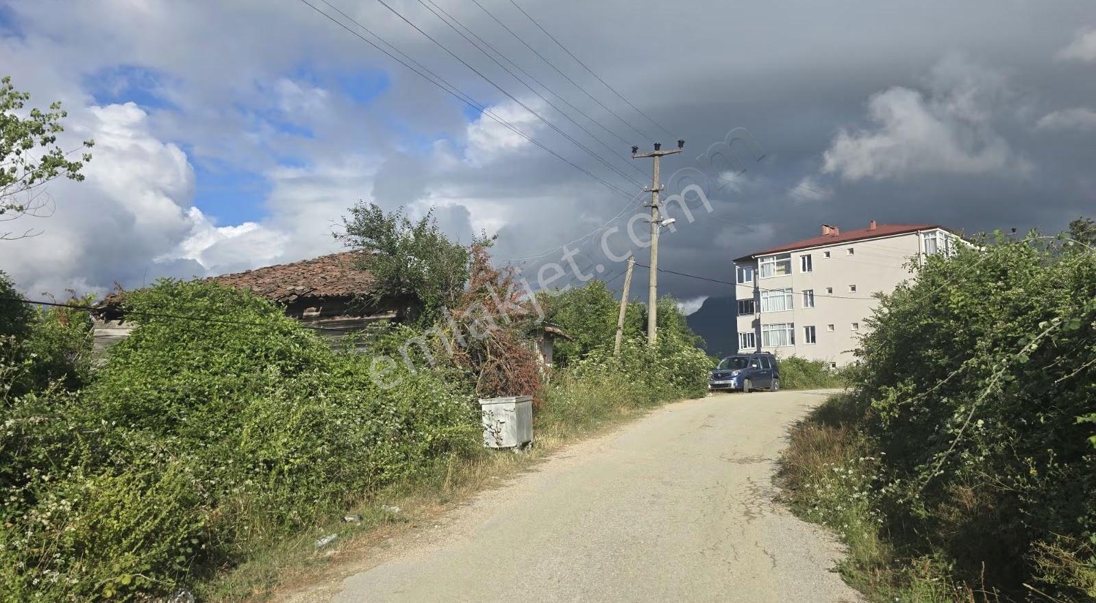 Cide İlkim Emlak'tan Satılık Arsa Ve Ahşap Bina