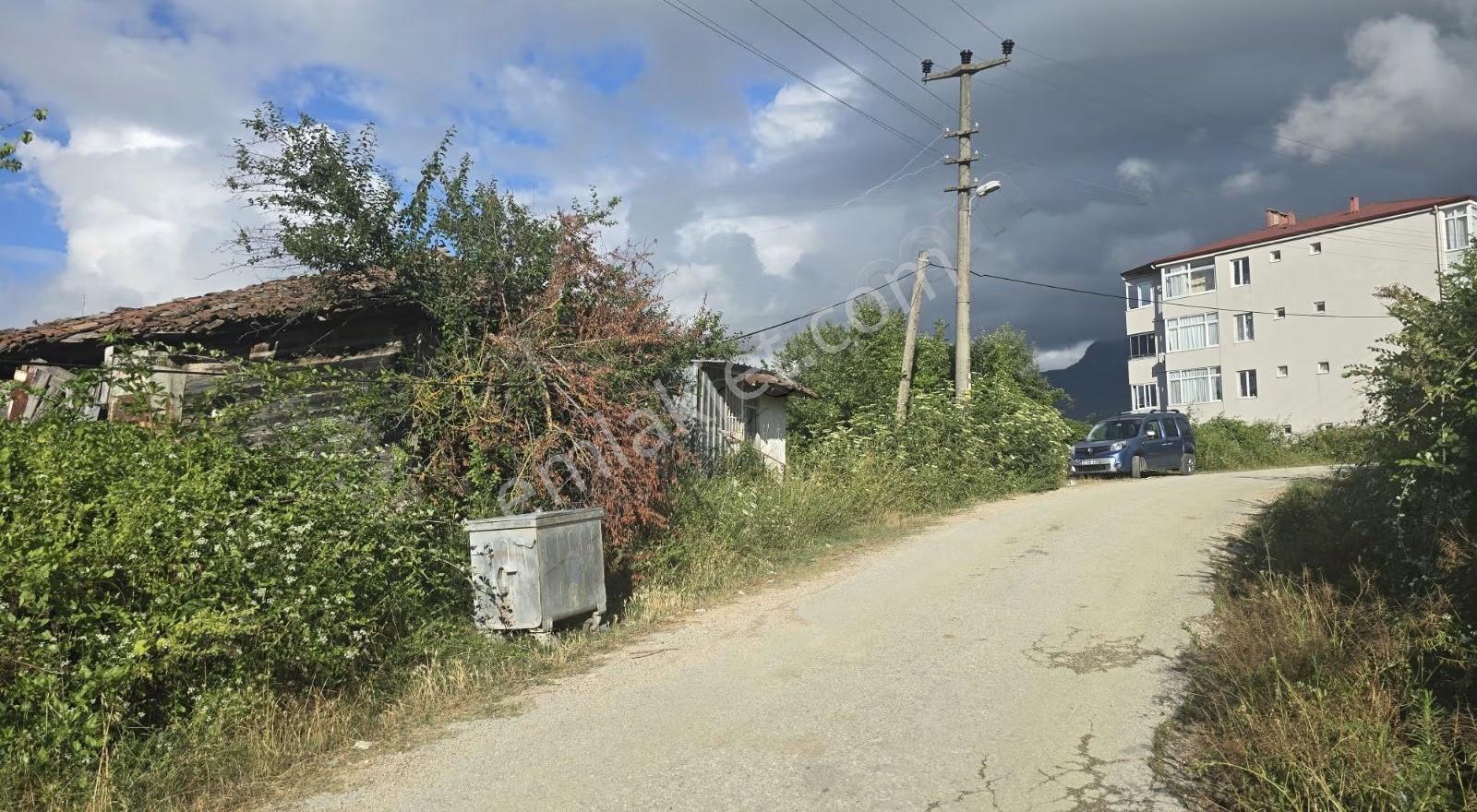 Cide İlkim Emlak'tan Satılık Arsa Ve Ahşap Bina - Görsel 2