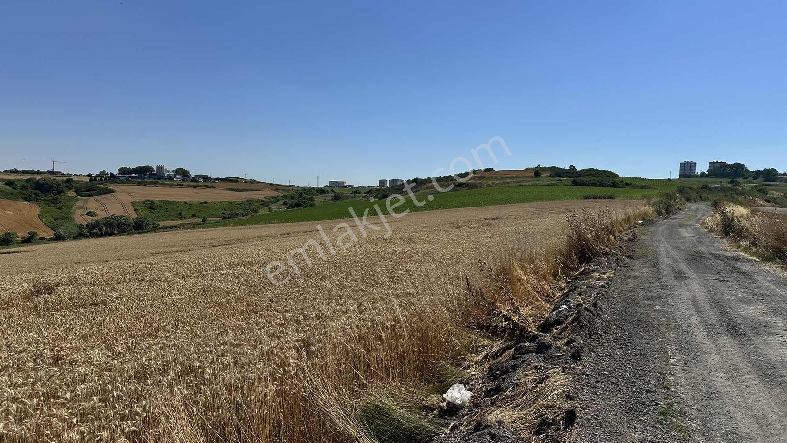 Yenişehir İmar Planında Dursunköyde Satılık 500 M2 Arsa - Görsel 11