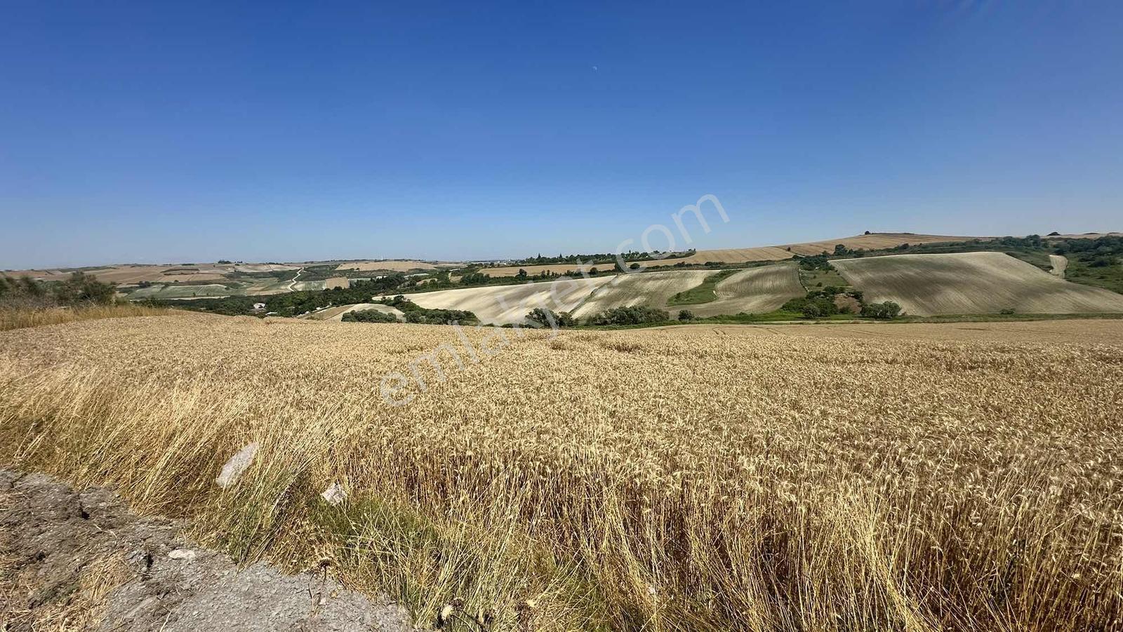 Yenişehir İmar Planında Dursunköyde Satılık 500 M2 Arsa - Görsel 13