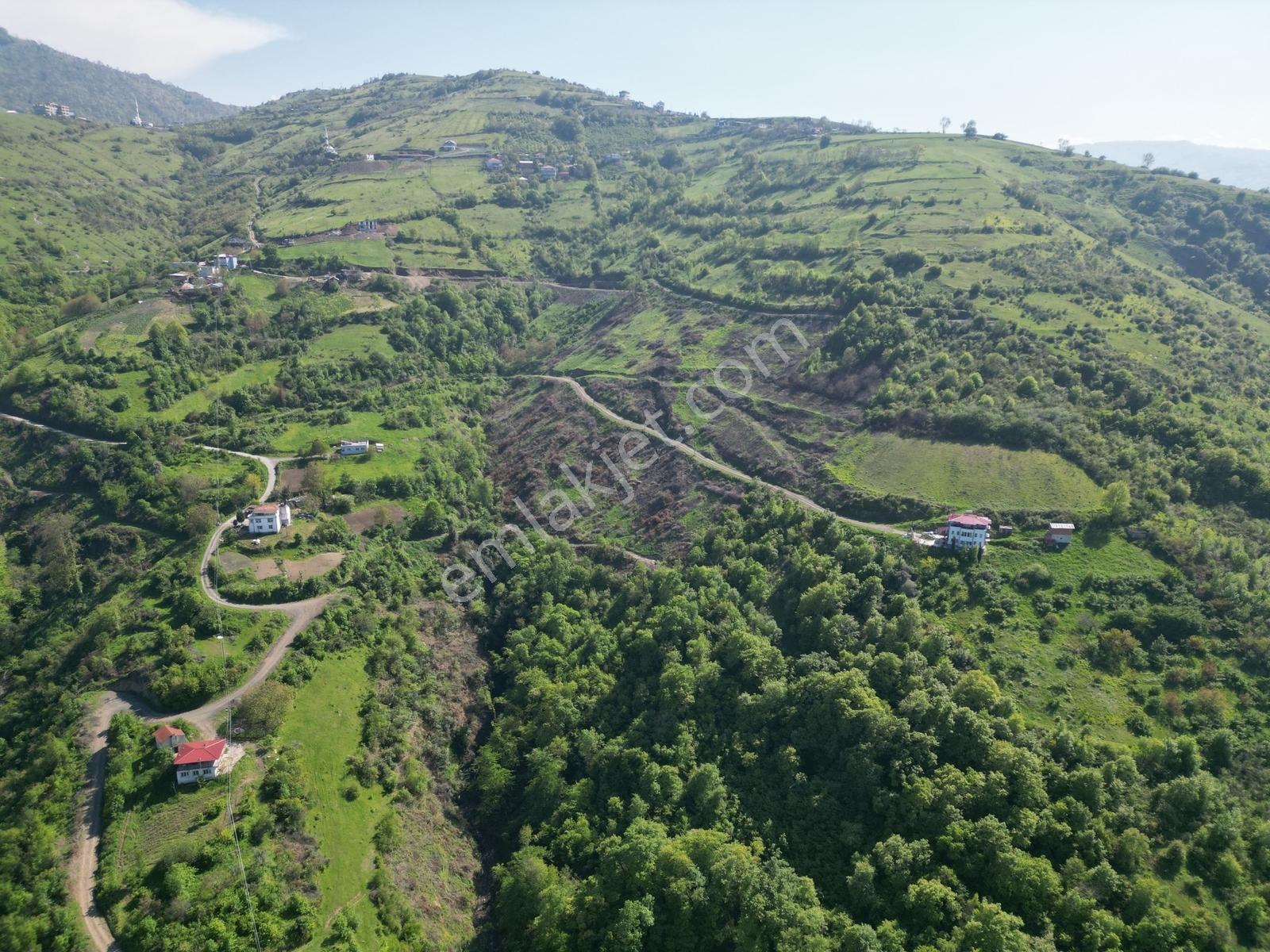 Hisar'dan 41,650 M2 Şehir Hastanesi Yakının'da Satılık Arazi.... - Görsel 9
