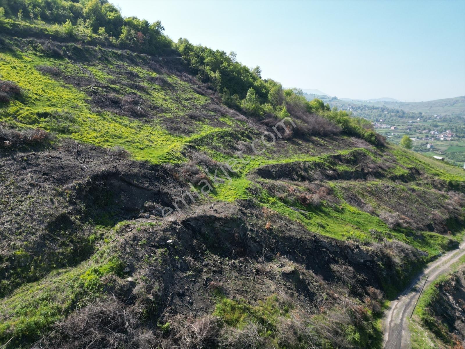 Hisar'dan 41,650 M2 Şehir Hastanesi Yakının'da Satılık Arazi.... - Görsel 17