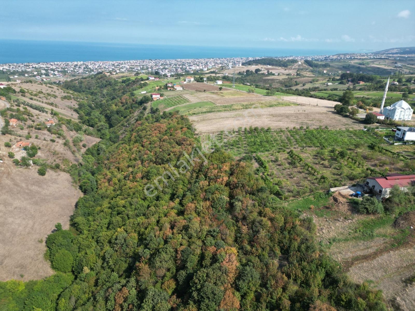 Atakum Kurugökçede Doğa İle İç İçe Tarla 1.613 M² - Görsel 12