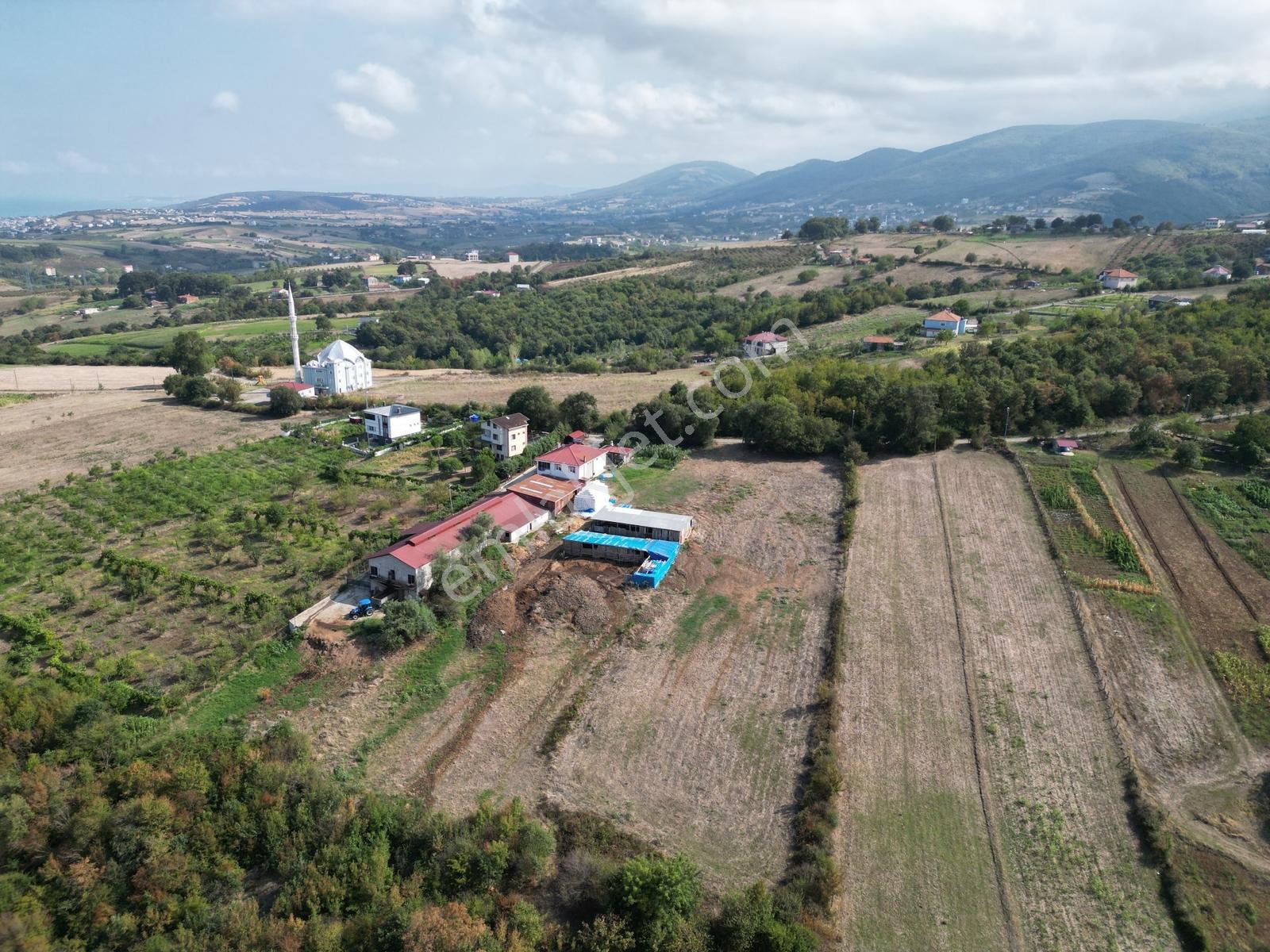 Hisar'dan Kurugökçe'de Villa İmarlı 876 M2 Deniz Manzaralı Arsa
