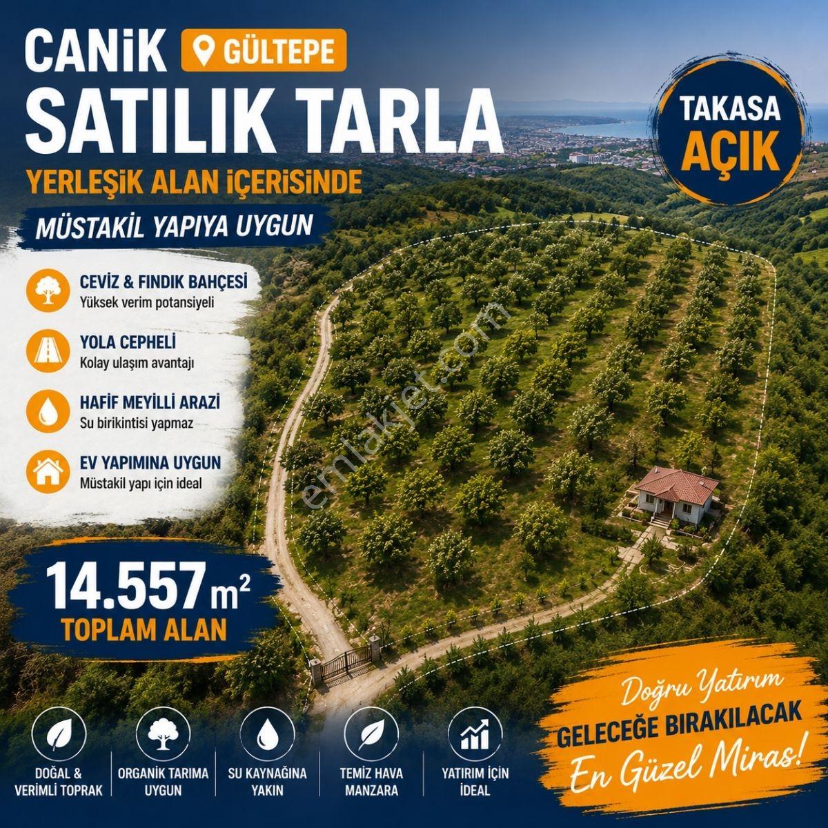Hisar'dan Gültepe'de Bölgenin En Uygunu Tarla Ve Ceviz Bahçesi..