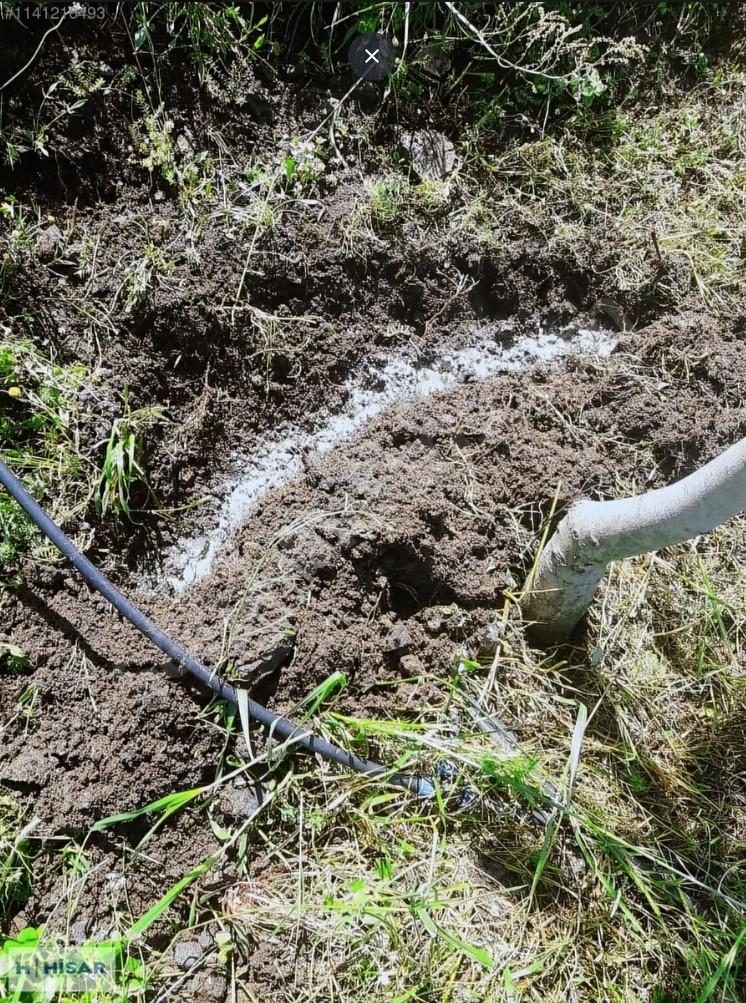 Hisar'dan Gültepe'de Bölgenin En Uygunu Tarla Ve Ceviz Bahçesi.. - Görsel 23
