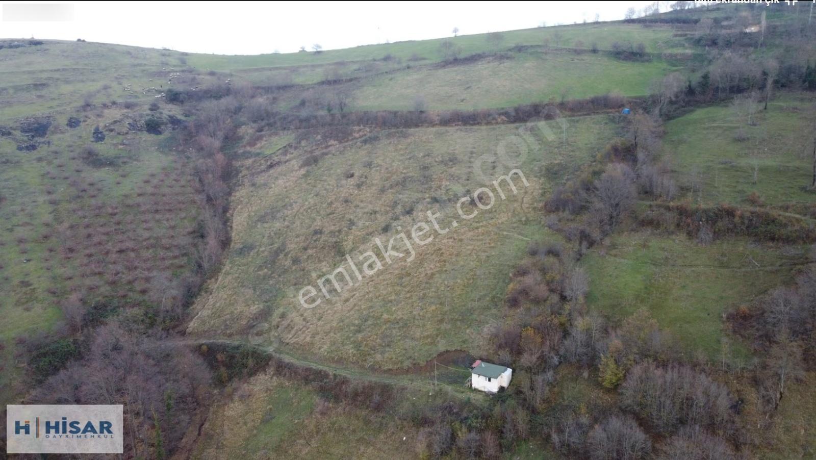 Hisar'dan Gültepe'de Bölgenin En Uygunu Tarla Ve Ceviz Bahçesi.. - Görsel 7