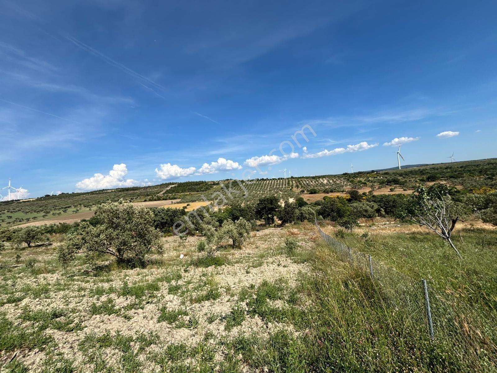 Çanakkale İntepe Kadastral Yola Cepheli Tarla - Görsel 21