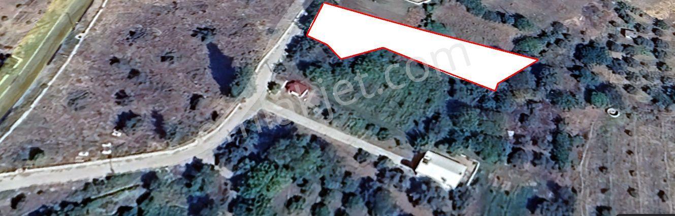 Nazilli Yakını Kestel Mah Köyiçi İmarlı Arsa Ve Bahçe 1200 M2 - Görsel 14