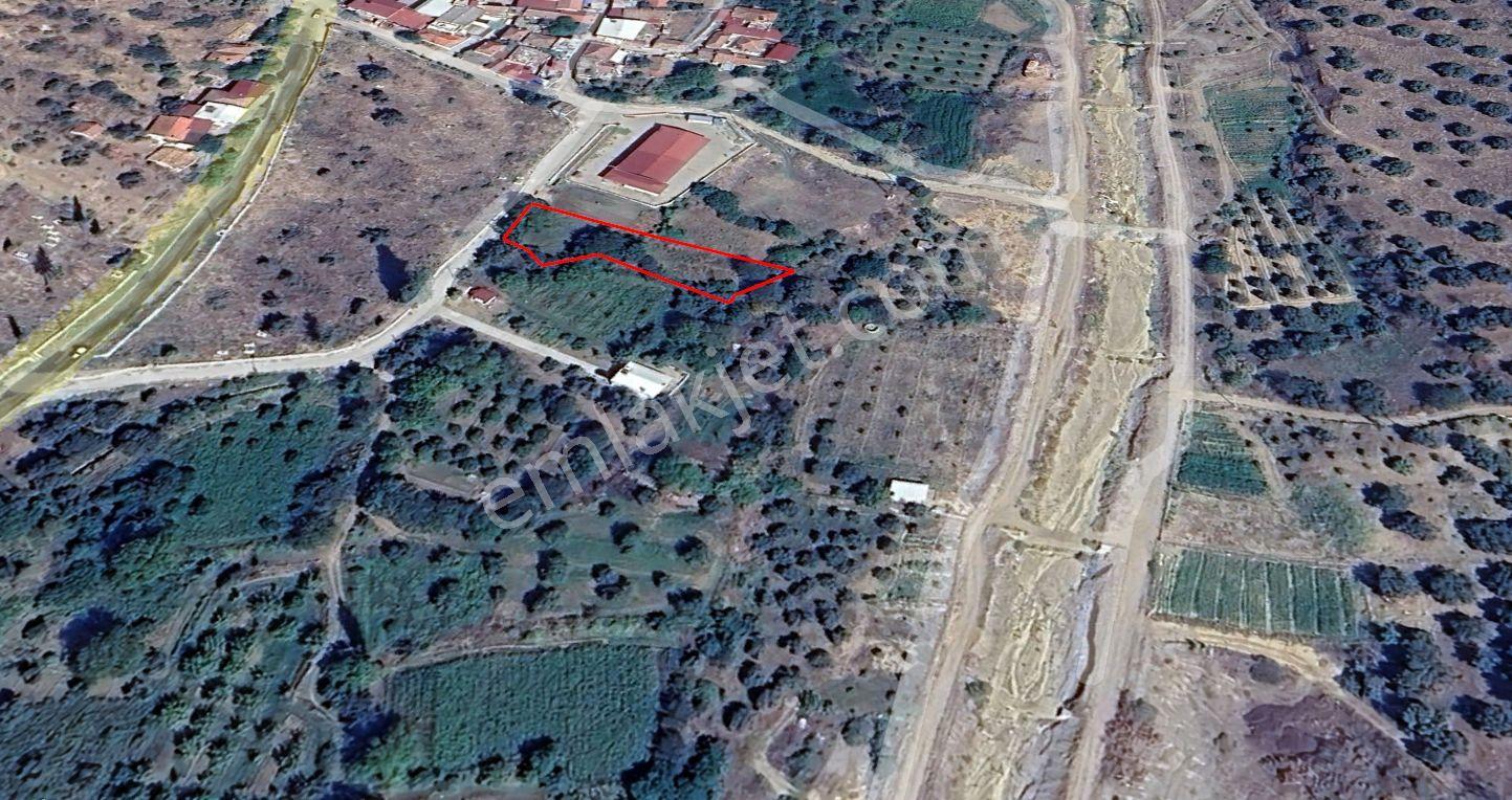 Nazilli Yakını Kestel Mah Köyiçi İmarlı Arsa Ve Bahçe 1200 M2 - Görsel 13