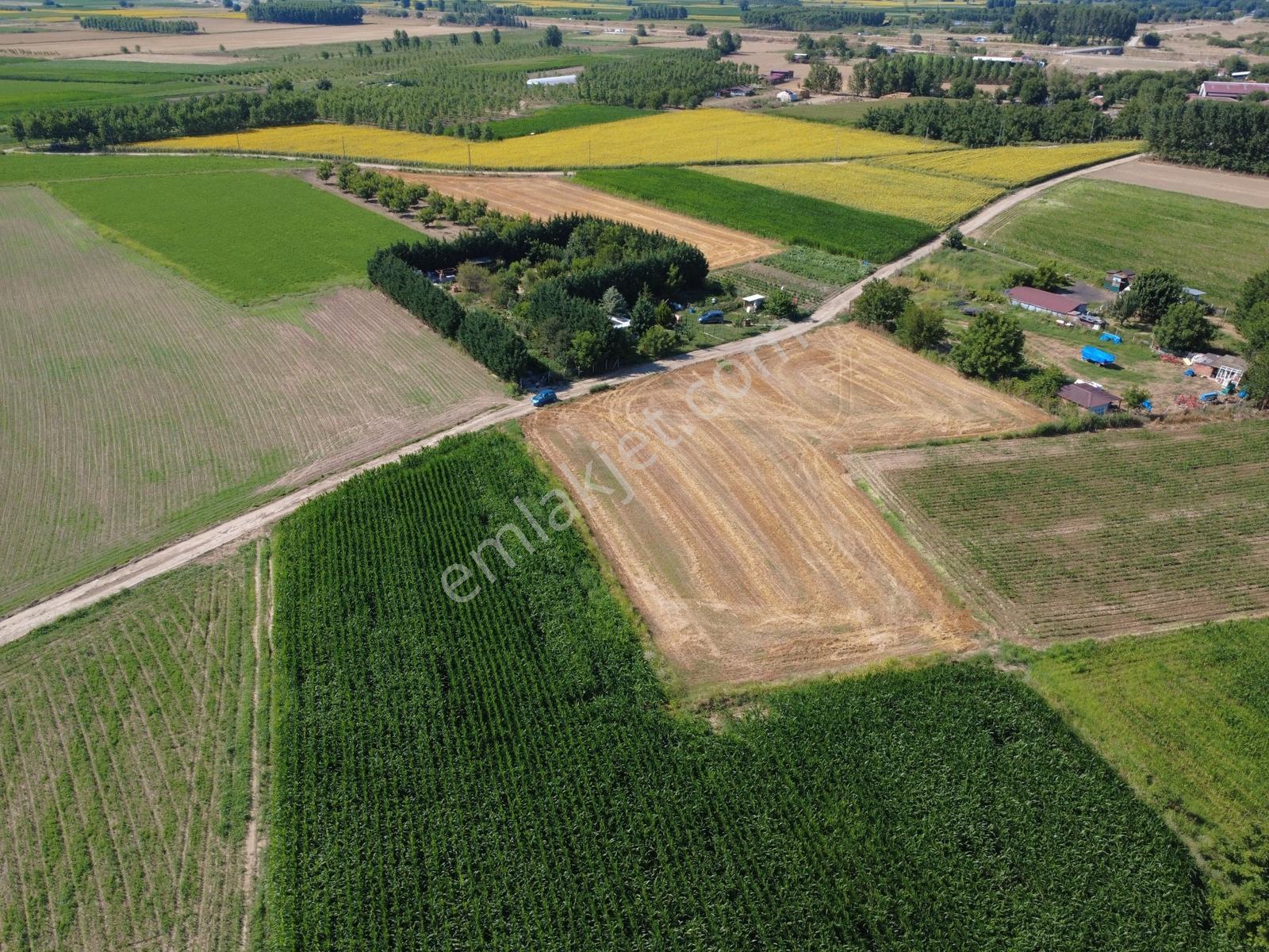Bosnaköy- Köy İçinde Satılık 2488 M2 Arazi- Odrisya Gayrimenkul - Görsel 2