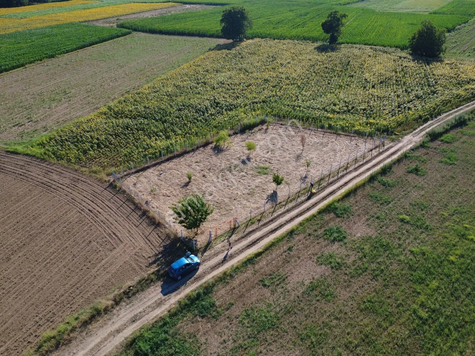 Bosnaköy-çit-kapı-artezyen Mevcut 946m2arazi-odrisya Gayrimenkul - Görsel 11