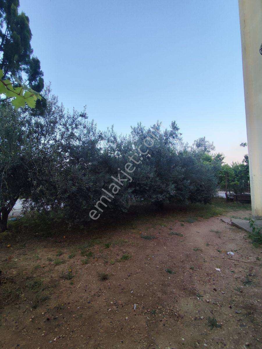 Kardeş Emlak'tan Osmangazi Mh. 2+1 Kapalı Mutfak Toki Dairesi - Görsel 14