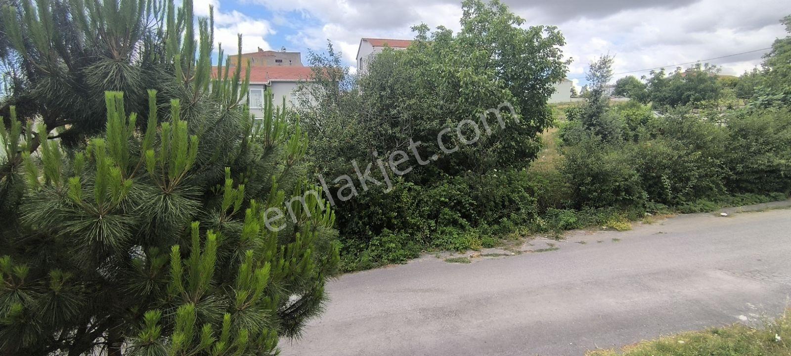 Bafra Fevziçakmak'ta Satılık Masrafsız 12 Yaşında 120 M² Daire - Görsel 11