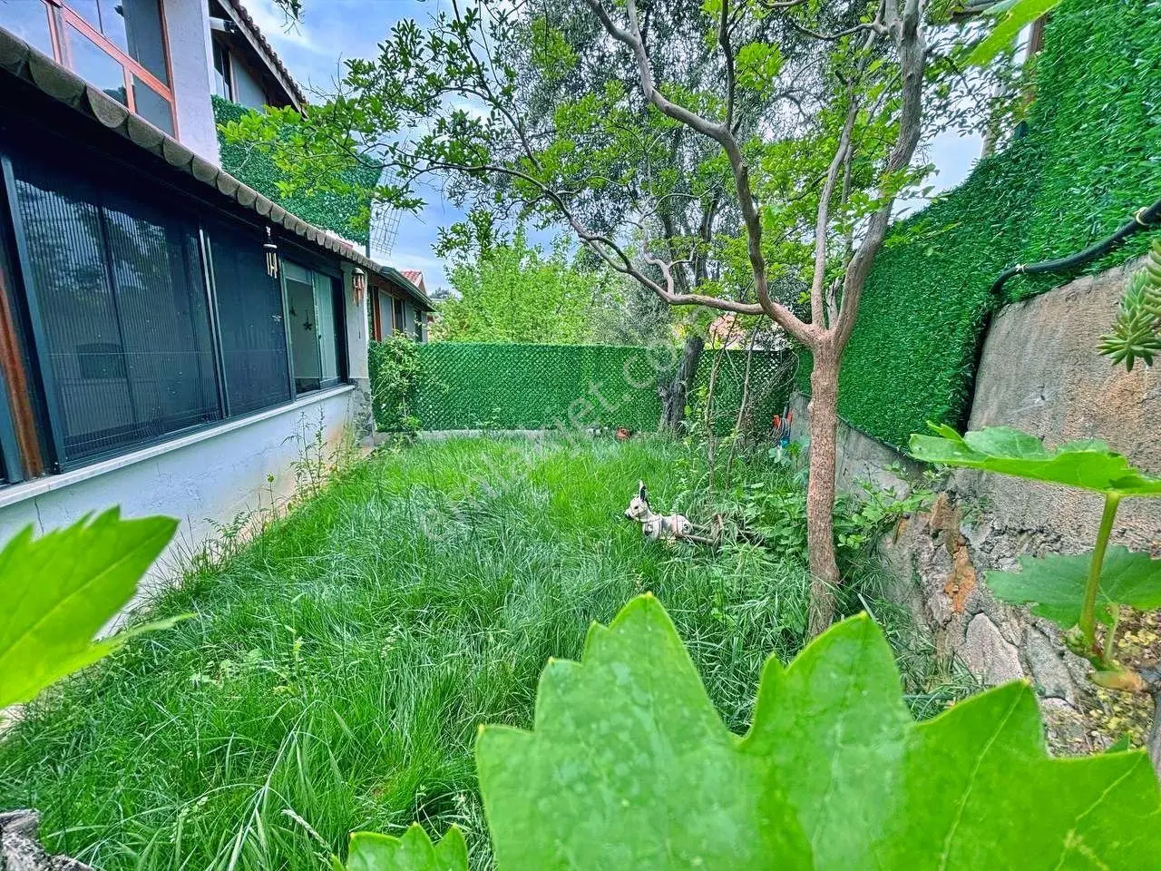 Uytundan Pelitköyde Denize 300 Metre Bahçe Kullanımlı 2+1 Villa - Görsel 25