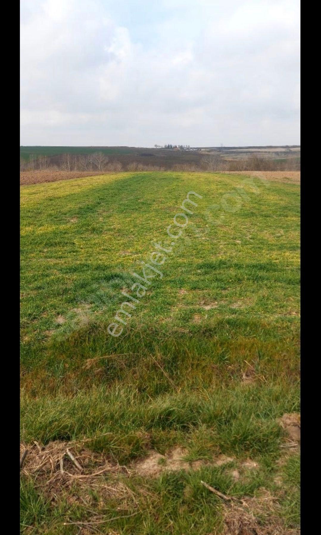 Edirne Geçkinli Köyü Yatırımlık