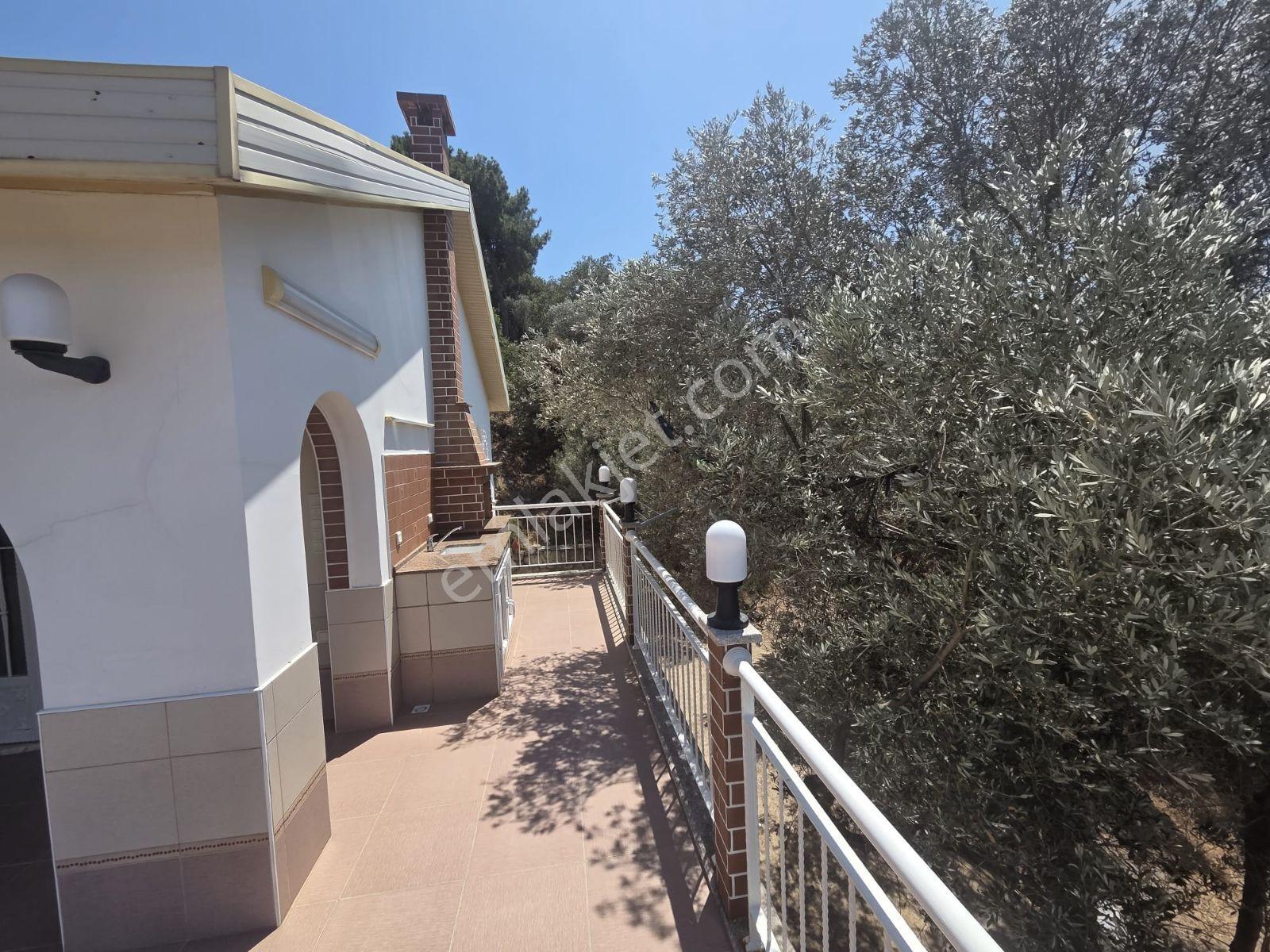 Yenifoça'da Tam Müstakil Doğa Ve Deniz Manzaralı Satılık Villa - Görsel 18