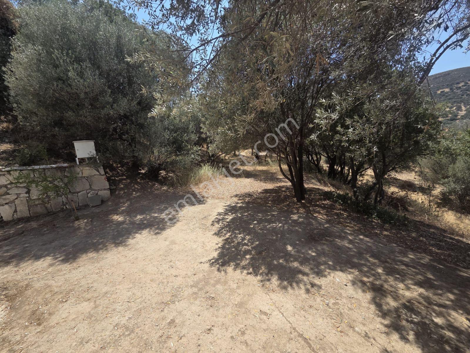 Yenifoça'da Tam Müstakil Doğa Ve Deniz Manzaralı Satılık Villa - Görsel 25