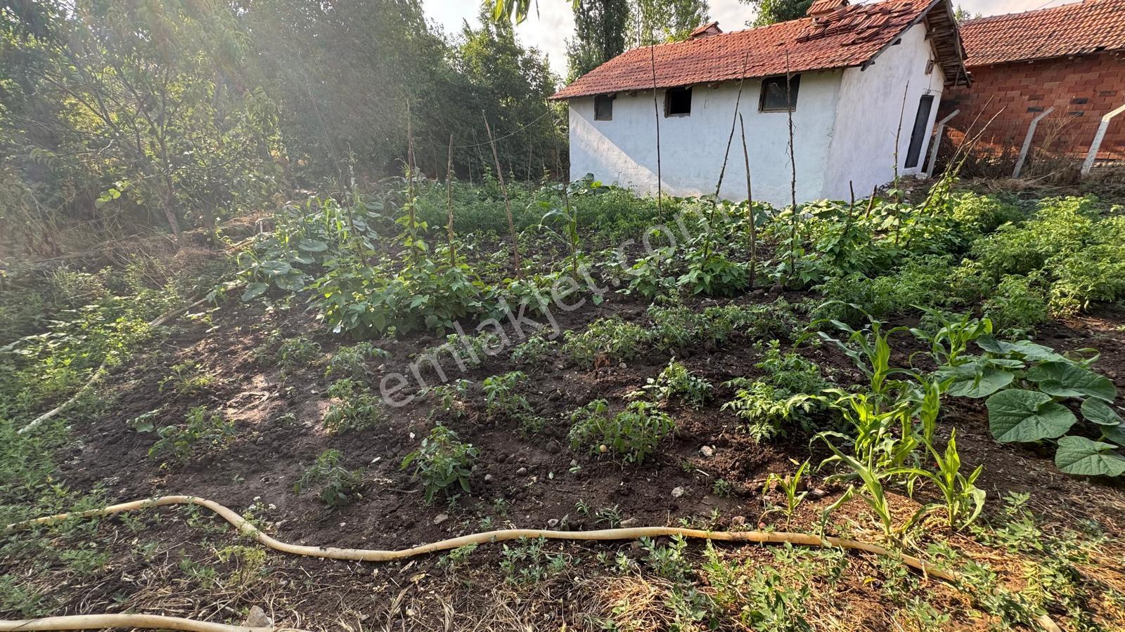 Balıkesir Kepsut Bükdere Mahallesinde Arsa - Görsel 3
